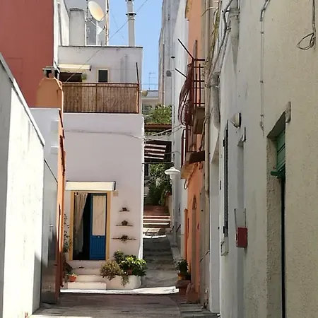 Bed & Breakfast Domus Petrosa